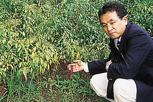 中国にて、新たな食材を求めて